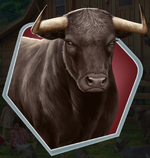 UB Ch18 Prize Steer LV