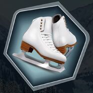 Ice skates