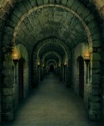 Dungeon Tunnel