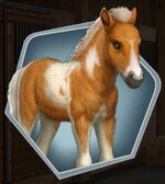 UT Ch10 Foal LV