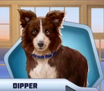 Dipper