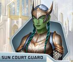 TCH Ch11 Sun Court Guard 1