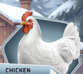 ITW White Chicken