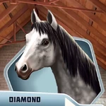 DDBk3Ch18 Diamond