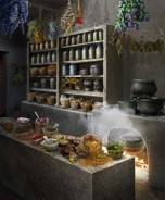 Palace Apothecary (1600 A.D.)