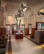 Natural History Museum