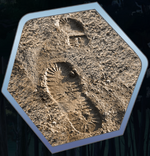 TDG Footprints