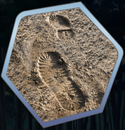 Footprints