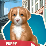WTCh04 Puppy