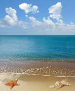Premium Beach Party (Coast)