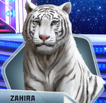 Zahira