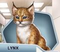 FA Ch9 Lynx