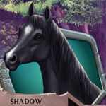 GV Shadow