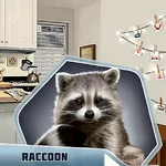 RCDCh01 - Raccoon
