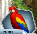Ds adoptable parrot