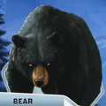 ITW Ch04 Bear