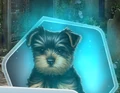 TGOU Ghost Puppy