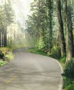 Wooded Road