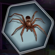 Spider (Gingerbread cookie shape)