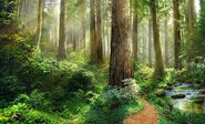 Riverbend Woods (Day)