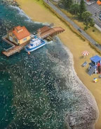 RT Town Cleanup Ocean Fish Die off.jpg (256 KB) Ocean with die-off