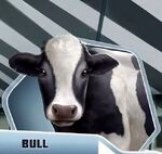 BSCBk2Ch08 Bull