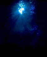 Underneath Light-infused Lake