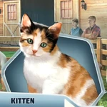 RCDBk3Ch14 Kitten
