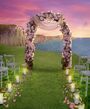 Premium Blush Pink Flowers Arch