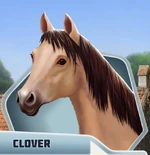 CloverHorse