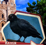 HSSCABk3Ch10 Raven