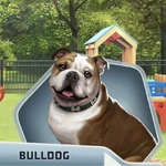 MaH ch07 Bulldog