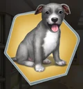 BaBu2 Pit LV