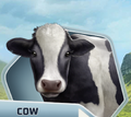 UB Ch07 Black and White Holstein Cow
