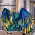 Bolas drake