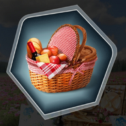 Apology picnic basket