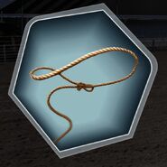 Lasso