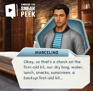 Chapter 3 Sneak Peek