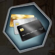 MC's credit cards