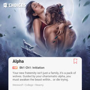 Chapter 1 Description