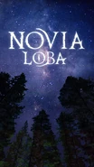In-Book Cover