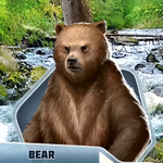 BSCCh11 Bear
