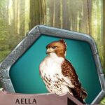 Aella