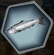 Flying Fish