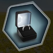 Alternate Engagement Ring