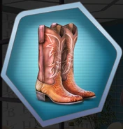 Cowboy Boots