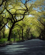 D&D London Park.jpg (751 KB) Park