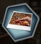 Picture of the Victim