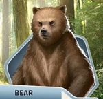 ID Ch11 Bear