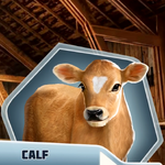 WaBRCh18 Calf.png